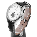 Мужские наручные часы Festina F16486/1