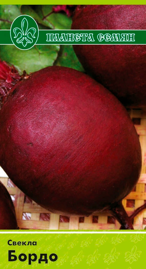 Свекла Бордо