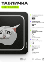 Табличка А смысол вот етово вот всево, шуточная прикольная табличка мем на дверь и стену черная, для офиса и дома, серия COSMO MEM, 30х10 см, Айдентика Технолоджи