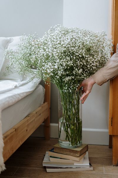 САМЫЕ СТОЙКИЕ ЦВЕТЫ