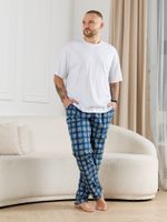 Брюки мужские Тор-1 Виотекс КЛЕТКА СИНЯЯ