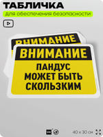 Табличка для обеспечения безопасности "Внимание, пандус может быть скользким", для офиса, по охране труда для предприятия, организаций, 40х30 см, Silver Plane x Айдентика Технолоджи