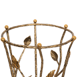 Зонтница Терра Амбер