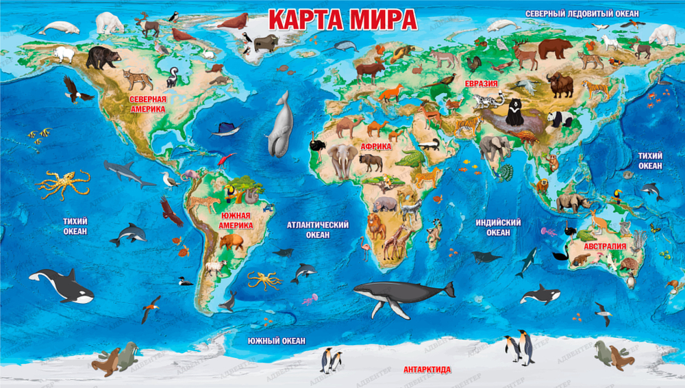 Фотообои для кабинета географии Карта Мира 015