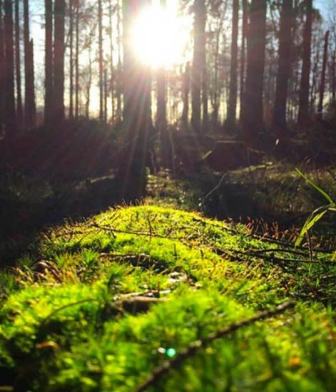Жидкое мыло для рук и тела Свежесть зелени, Christian Tortu