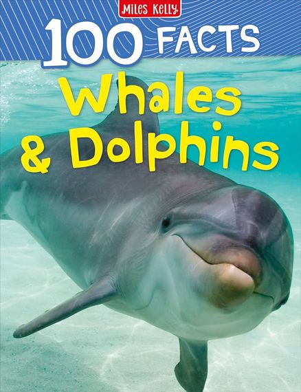 Whales &amp; Dolphins_100 Facts