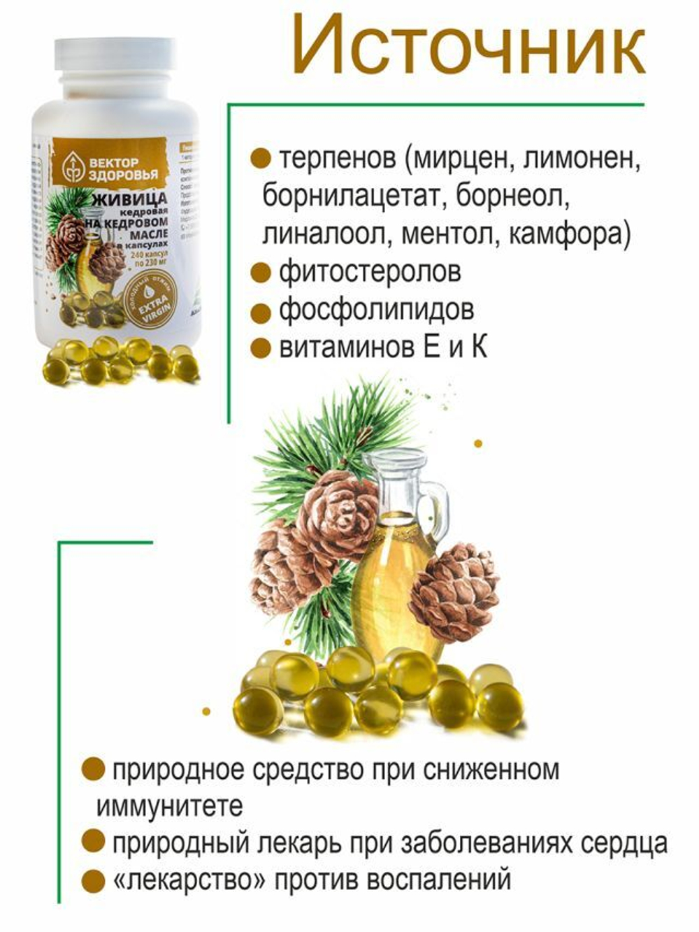 Живица кедровая на кедровом масле 240 капсул
