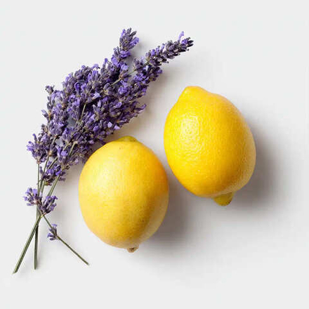 Лимон и лаванда