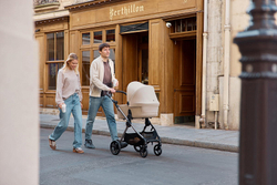 Детская коляска Anex iQ Premium NT 2 в 1 iQ-13-DNA seal