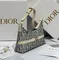 Сумка Dior 30 Montaigne Cigale