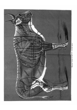 Образцовая кухня и практическая школа домашнего хозяйства. Настольная книга хозяйки: 3000 рецептов, проверенных практикой | Симоненко Петр Федорович