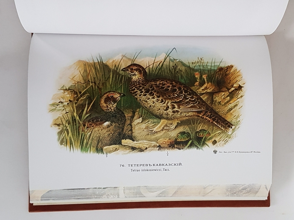 Подарочная книга "Охотничьи и промысловые птицы Европейской России и Кавказа". М.А. Мензбир