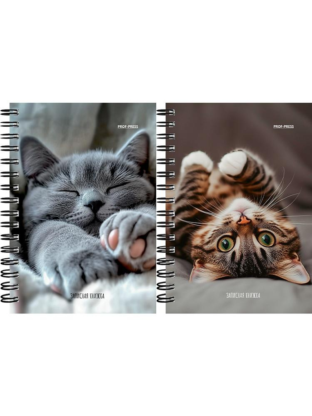 Записная книжка А6 120л. "Милые котики-6" на гребне, мелов.облистер (Проф-Пресс)