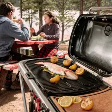 Портативный газовый гриль Weber Traveler, 1 горелка, чёрный