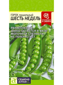 Семена Горох Шесть недель