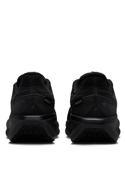 Кроссовки женские NIKE W AIR WINFLO 11 GTX