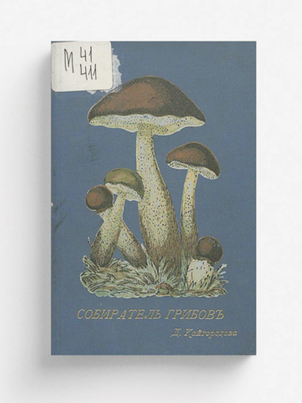 Собиратель грибов | Кайгородов Дмитрий Никифорович