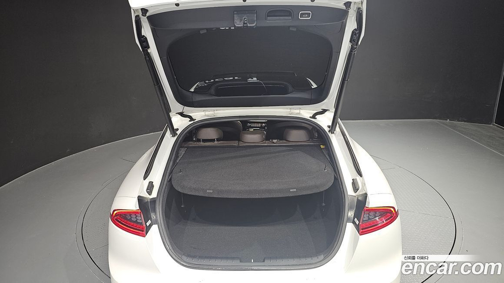 Kia Stinger 2.0 Turbo 2WD (08.2019)