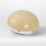 Настенный светодиодный светильник Lussole MOON LSP-7329