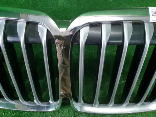 Решетка радиатора BMW X7 G07 (2019-2022)