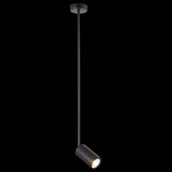 Светильник на штанге ST-Luce SL1206.403.01
