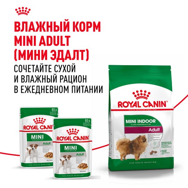 Сухой корм Royal Canin Mini Indoor Adult для взрослых собак мелких размеров, живущих в помещении