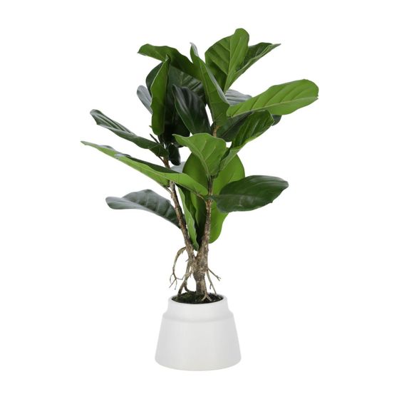 Искусственное растение Lyrata 60 см