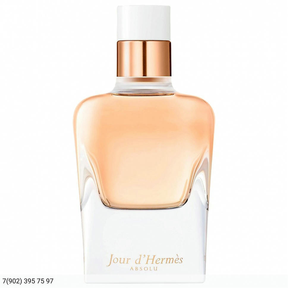 Hermes Jour d`Hermes Absolu