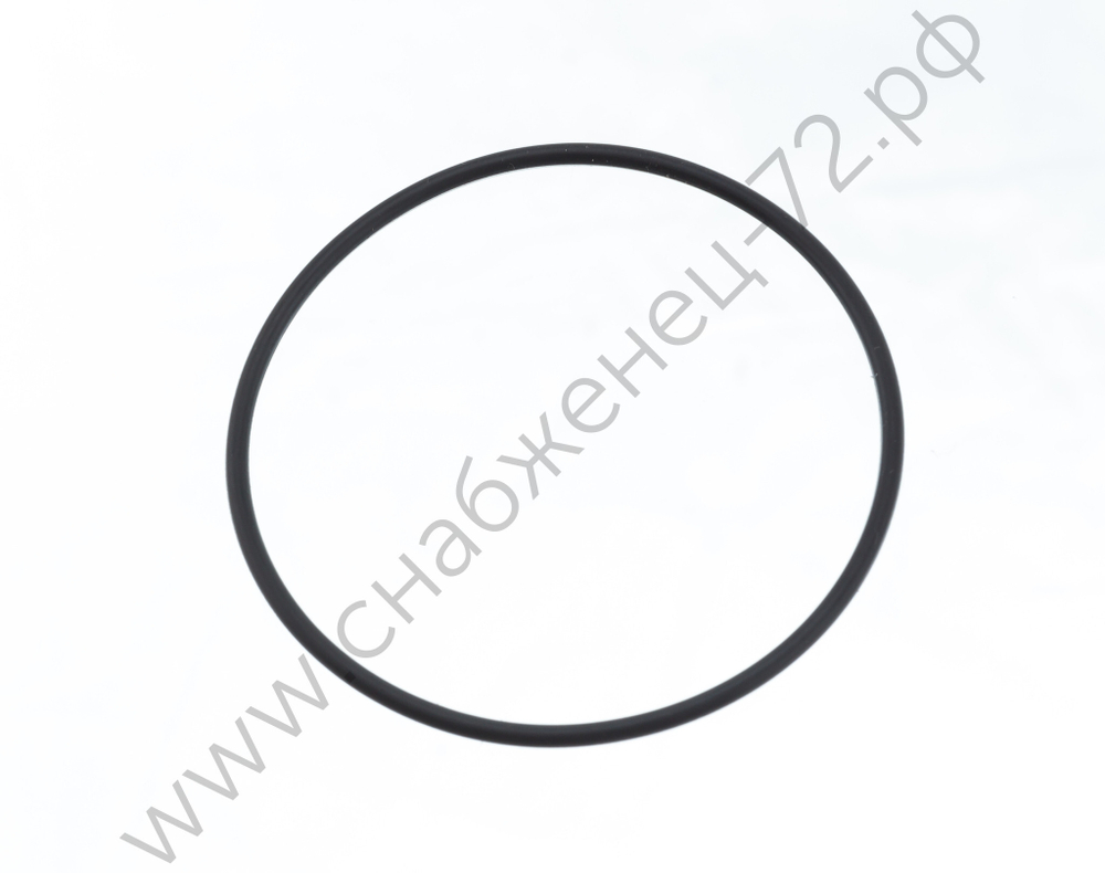 Уплотнительное кольцо задней крышки корпуса SP121220A28