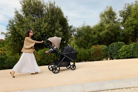 Переноска для питомца к детской коляске Anex Modu Black