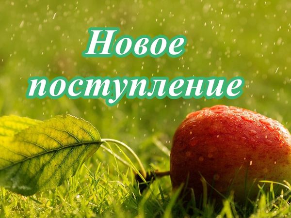 Новинки
