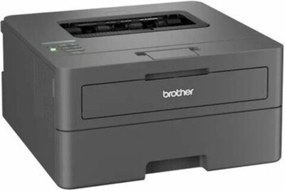 Лазерный принтер Brother HL-L2400DW