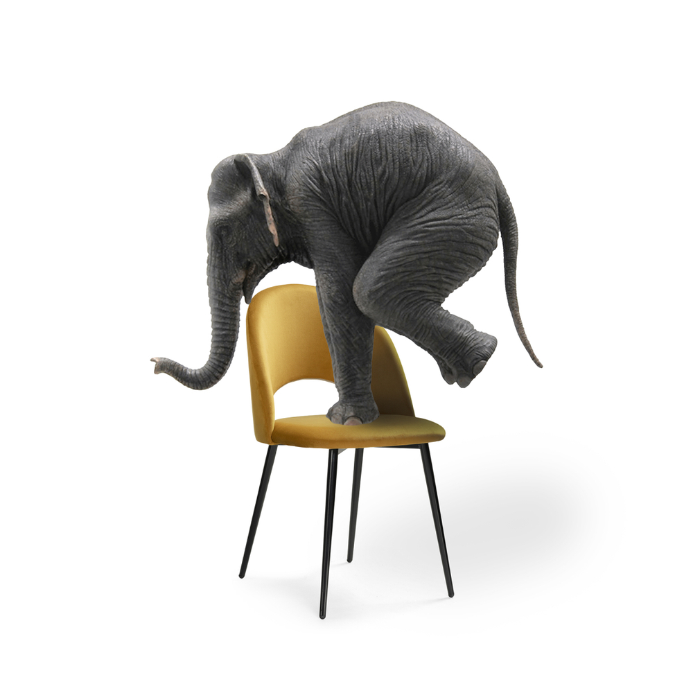 Стул на металлокаркасе Woodville Ирре confetti chai tea, черный глянец, ножки черные