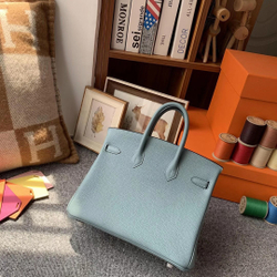 Hermes Birkin 25