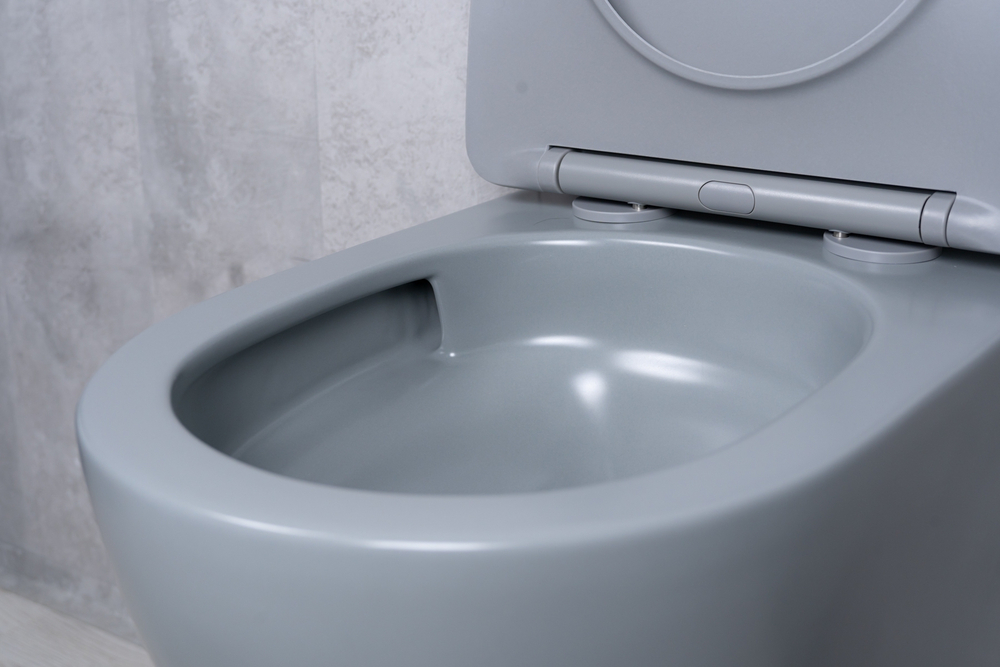 Унитаз подвесной Tornado Gid Tr2122TF-Lgm 62259Y серый матовый 49x36x36