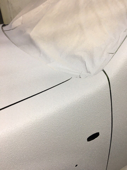 Галерея Раптор