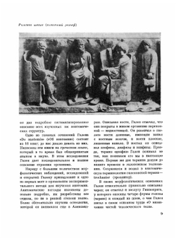 О назначении частей человеческого тела | К. Гален