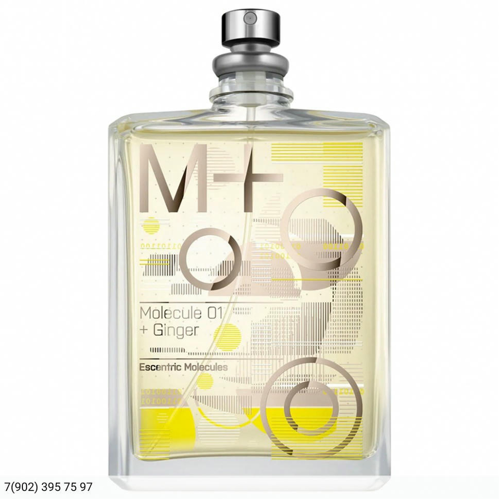 Molecule 01 + Ginger
