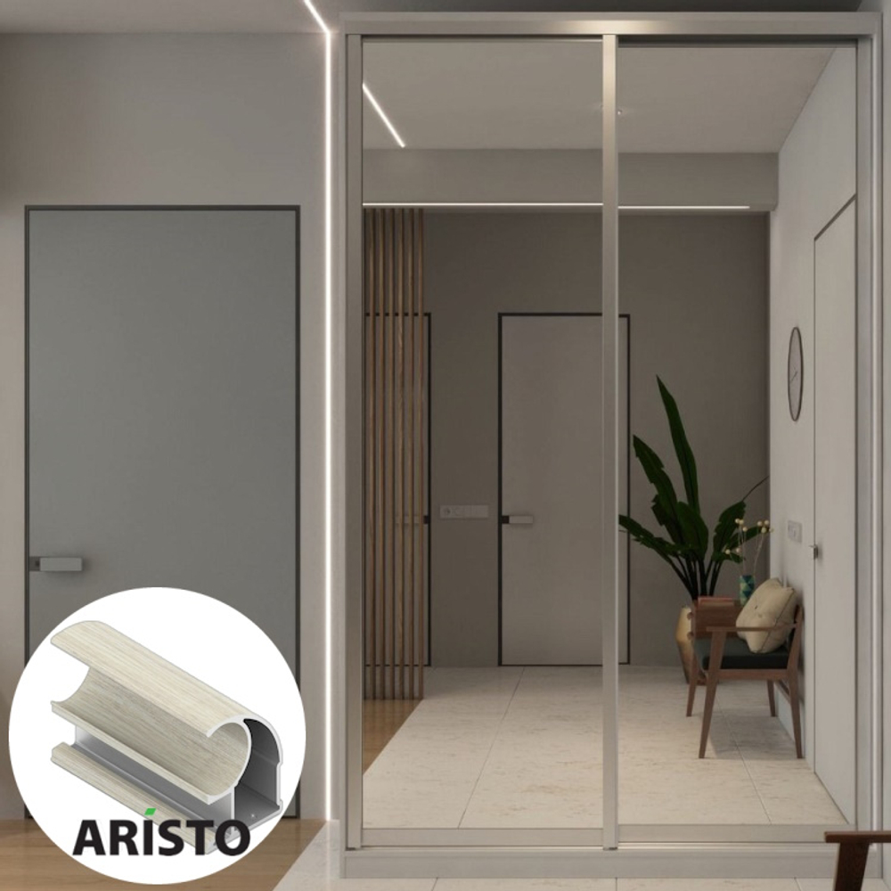 Дверь-купе ARISTO С, зеркало, профиль дуб дымчатый