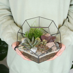 Готовый флорариум с суккулентами Сфера S