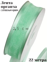 Лента органза 2,5 см с атласным краем