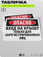 Табличка для частной территории "Опасно, вход на крышу только для зарегистрированных лиц", на дом, для участка, организаций и частных территорий, 40х30 см, Silver Plane x Айдентика Технолоджи
