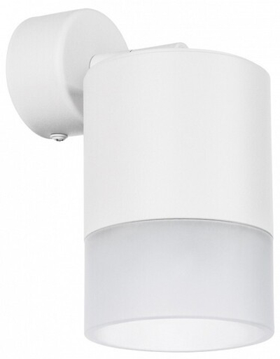 Спот Lightstar Rullo RBX348681