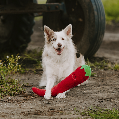 Игрушка Jigglerz Перец ZippyPaws