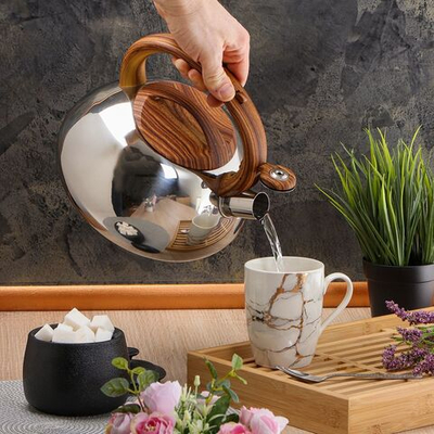 Чайник нерж, 3 л, свист, зеркал, ручк бакелит в цв дерева, Daniks, индукц, MSY-A010 -1