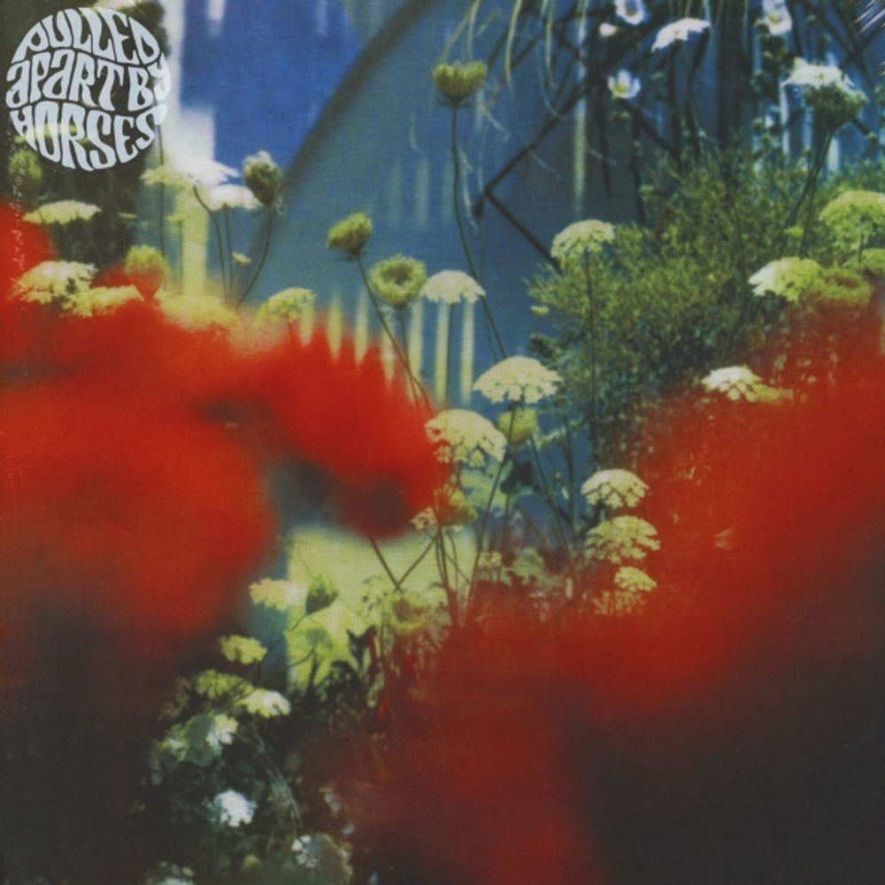 Pulled Apart By Horses / The Haze (LP)