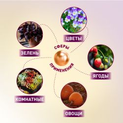 Фитопрожектор для растений светодиодный ЭРА FITO-50W-Ra90-LED для цветения и плодоношения полного спектра 50 Вт | Фито прожекторы