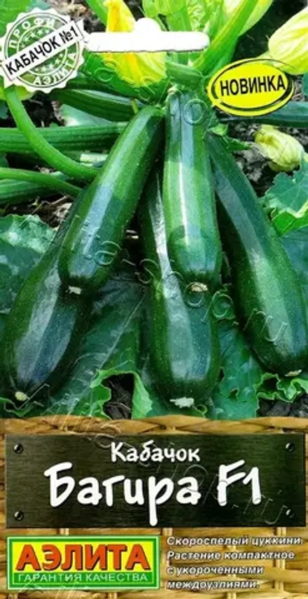 Кабачок Багира цуккини 5шт Ц Аэлита
