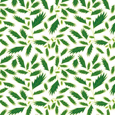 Листья на белом фоне