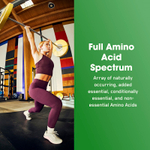 Optimum Nutrition, Superior Amino 2222 Tabs, 320 таблеток